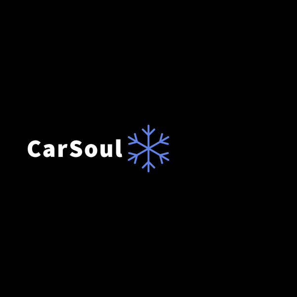 CarSoul